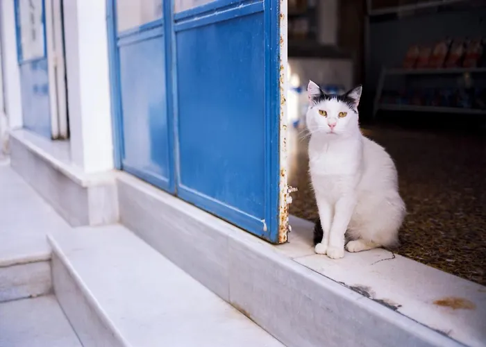 Spacious Santorini 2 Bedrooms Filos Private Jacuzzi